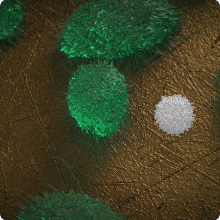 Experience the Maestro TrayZ Live-cell Analyzer | Axion Biosystems